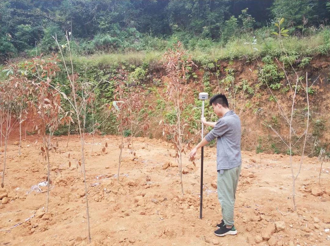 土地妄想部项目纪实丨W66最给力的老牌娱乐人，，助力荒地变桑田！！！