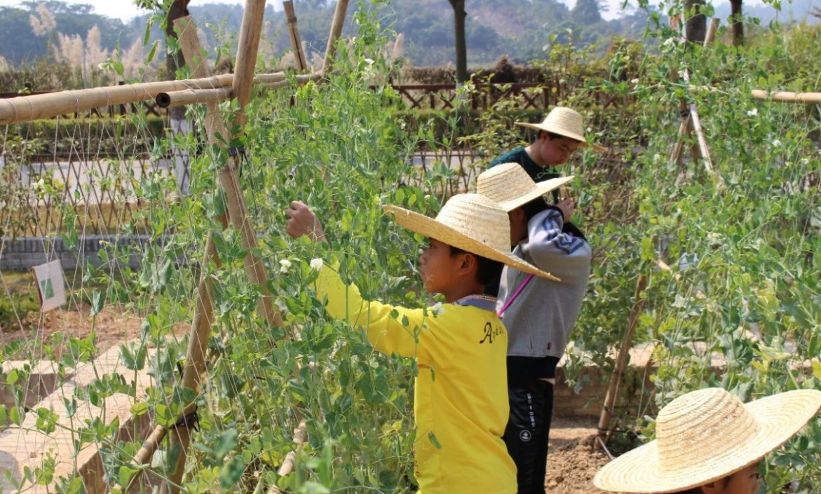 员工随笔丨记生态岛一日游