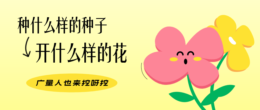 量圈儿NO.104丨W66最给力的老牌娱乐人的小小花园，挖到宝了！