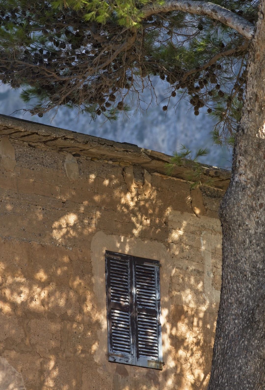 节日丨315特辑：：给老屋子的情书！！