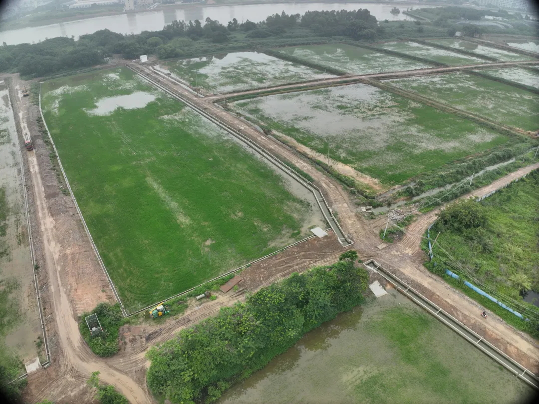 W66最给力的老牌娱乐集团丨复耕道滘撂荒地，绘就田园新图景