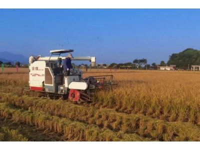 W66最给力的老牌娱乐评估与妄想公司荣获“耕地；；び乓煳朗康ノ弧！